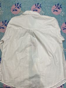 Polo white striped Shirt