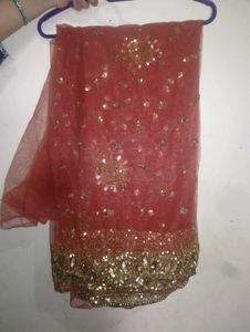 Elegant beautiful saree