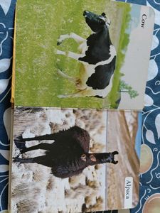 My First Book of Farm Animals