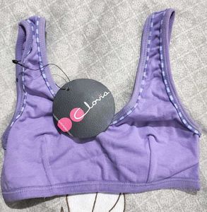 Brand New Bra For Beginners