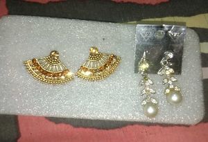 Elegant Pair of Earrings