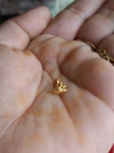 Elegant Gold Nose Pin