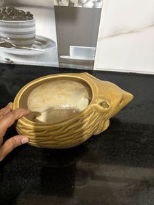 Cute Hedgehog Ceramic Planter