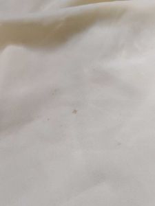 Embroidered Cream Kurta