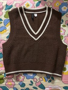 Brown V-Neck Sweater Vest