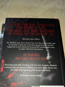 Little Liar Book by Leigh Rivers