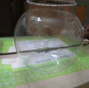 New Fish Bowl
