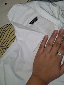 Classic White Collared Shirt