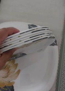 Floral Dinnerware Set (melamine)