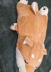 Cute Shiba Inu Plush Pillow