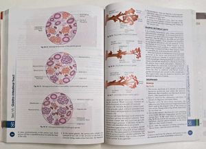 Human Physiology Vol.1 Textbook