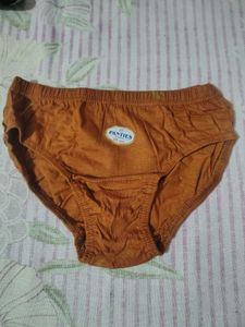 Comfortable Brown Panties 80cm.