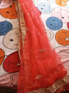 Embroidered Lehenga Skirt