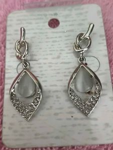 Elegant Silver Earrings