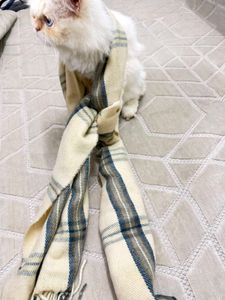 Cozy Plaid Scarf