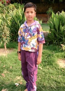 Kids Colorful Tiger Print Hoodie and Pants Set