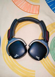 Vintage Sony Walkman NWZ-WH303 4GB🎧