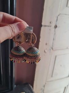 Women Solid Multy Earnings