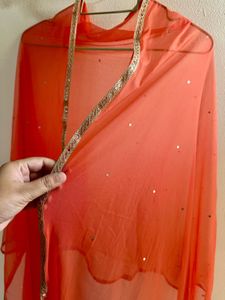 Fishcut Golden Lehenga with hot Pink Blouse