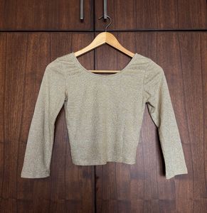 Gold Shimmery Crop Top