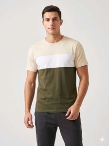 Men's Colorblock T-Shirt