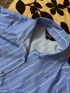 Blue Striped Button-Up fitted Shirt