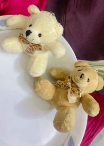 Teddy Keychain Combo | Cute 🧸