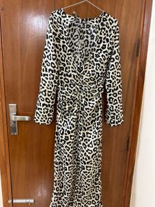 H&amp;M Leopard Print Long Sleeve Dress