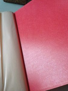 Folder With Transparent Plastic Sleeves