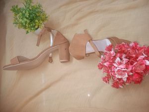 Beige For Spread Happiness