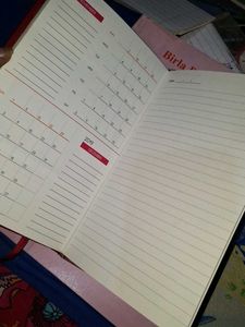 Red Covered 2019 Diary