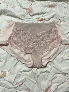 Elegant Lace Briefs