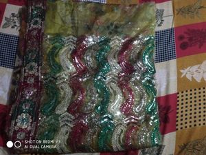 Net Saree Beautiful Multicolor
