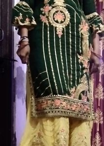 New Sharara Suiting Green Colour