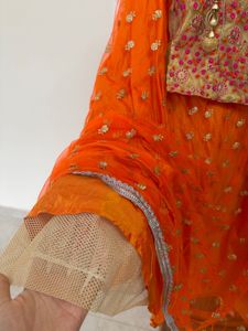 Orange Net Lehenga Choli with Golden Embellishment