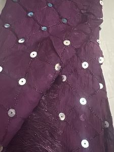 Embroidered Dupatta with Sequins