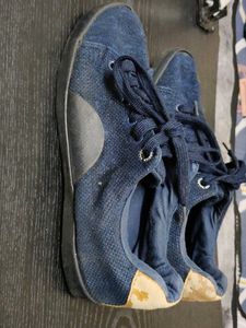 Stylish Blue Casual Sneakers