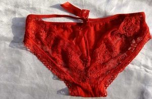 Lace Red Briefs