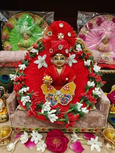 Divine Krishna Deity dress