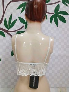 (300)Lace Bralette