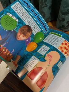 Amazing Body 3D Sticker Fun Book