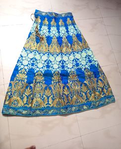 Blue &amp; Pista  Gold Embroidery Lehenga Set