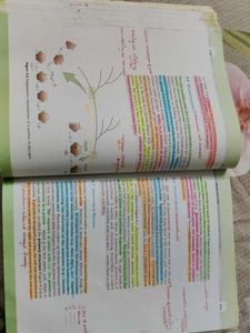 Biology Textbook for Class XI