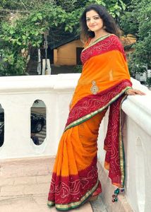 Rajasthani Saree with Embellished Border 🧡✨