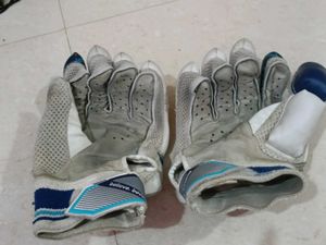 completely cricket kit