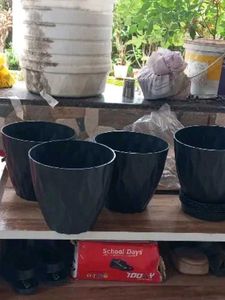 🌿 Stylish Ribbed Plant Pot with Saucer(SET OF5)