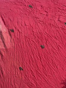 Beautiful Pink Embroidered Saree