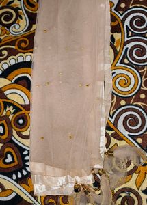 "Pinterest Peach Net Dupatta with Pearl Beads"