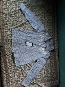 Striped Embroidered Shirt