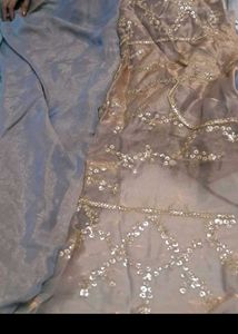 Embellished Saree